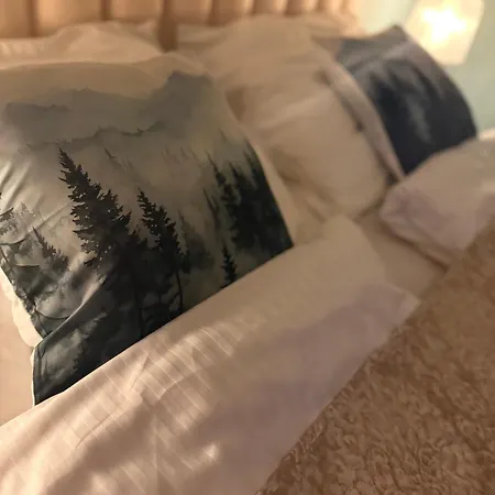 Apartament Viking