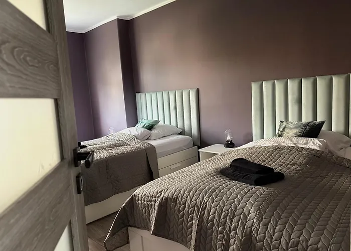 Апартаменты Viking *